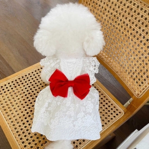 JESMARY – Quần áo thú cưng siêu dễ thương, chuẩn form, chất lượng cao