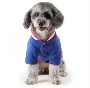 JESMARY - Export-Quality Pet Clothes - Asserting Their Position in the International Market