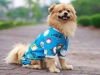 JESMARY - Export-Quality Pet Clothes – A Leading Product in the Pet Industry