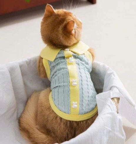 JESMARY - Exported Pet Clothing: The Perfect Choice for the Global Market