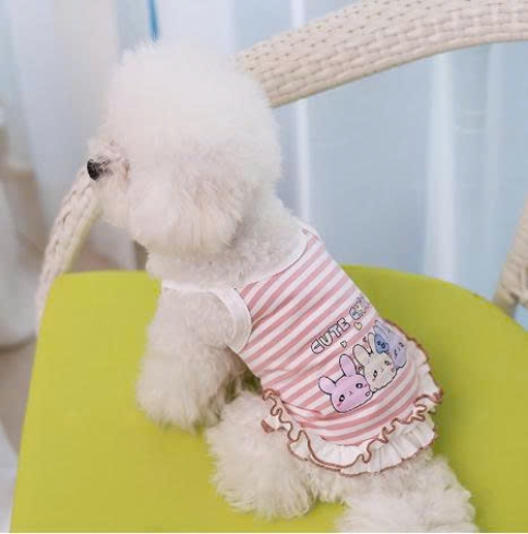 JESMARY - Exported Pet Clothing: The Smart Choice for Pet Owners