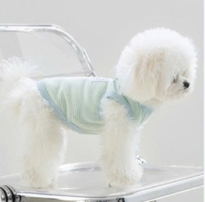 JESMARY - Exported Pet Clothing: The Complete Solution for Pet Owners