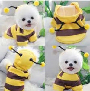 JESMARY - Pet Clothing Export – A New Trend in the Global Market