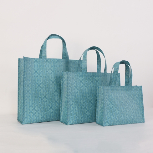JESMARY - Competitive Pricing: Non-Woven Bag Workshop Manufactured in Vietnam